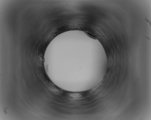 X0000098120183200804251500