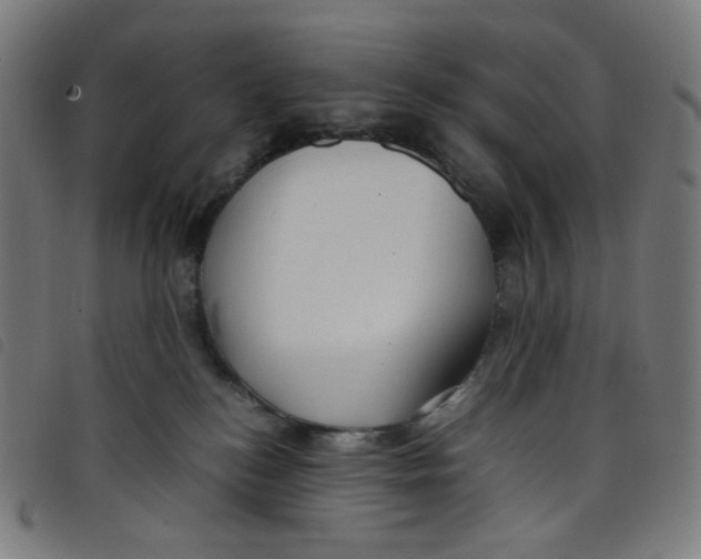 X0000098120184200804251500