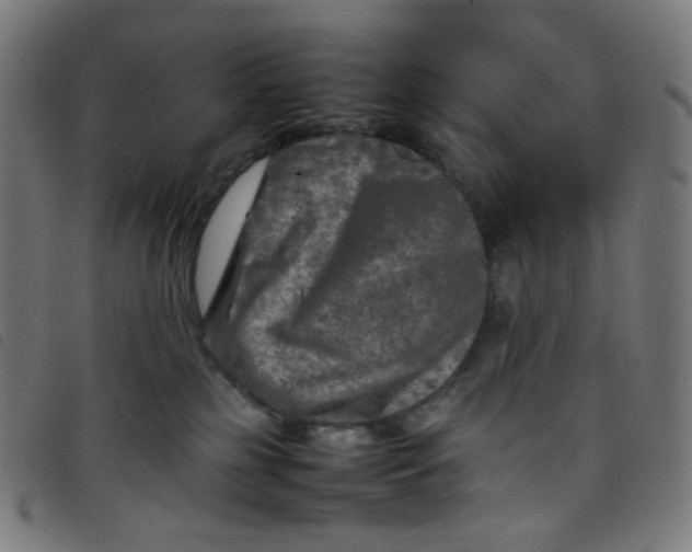 X0000098120185200804251500