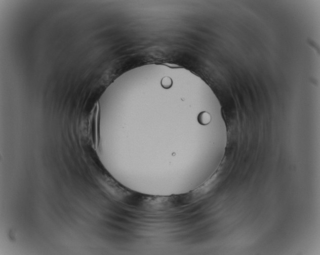 X0000098120186200804251500