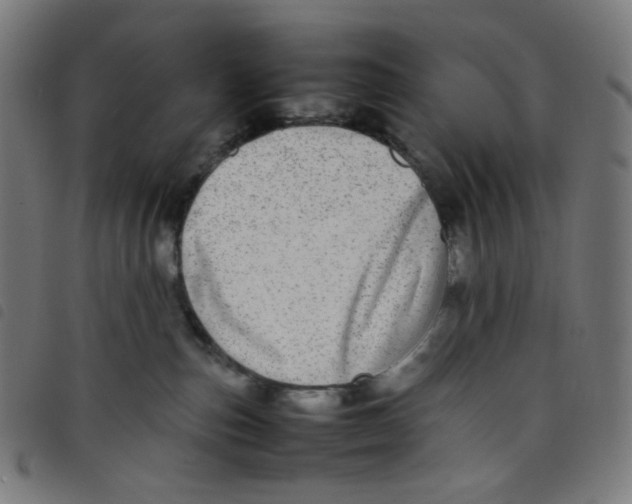 X0000098120187200804251500