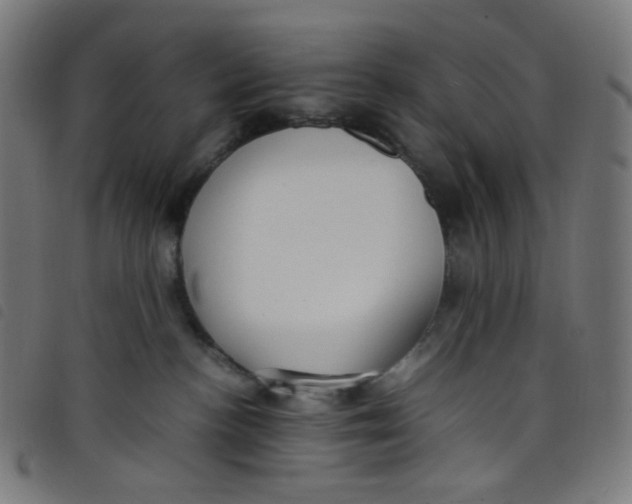 X0000098120188200804251500