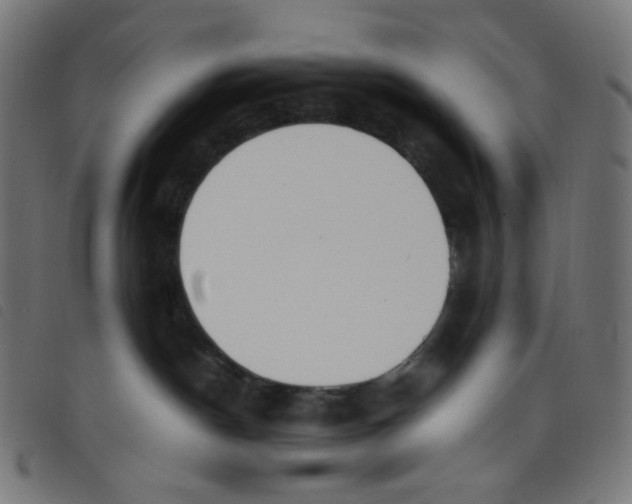 X0000098120190200804251500