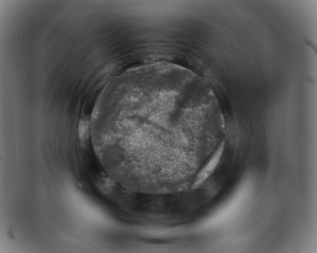X0000098120191200804251500