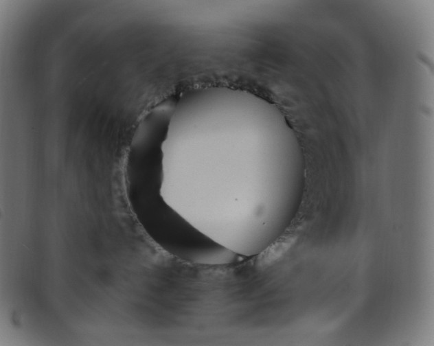 X0000098120192200804251500