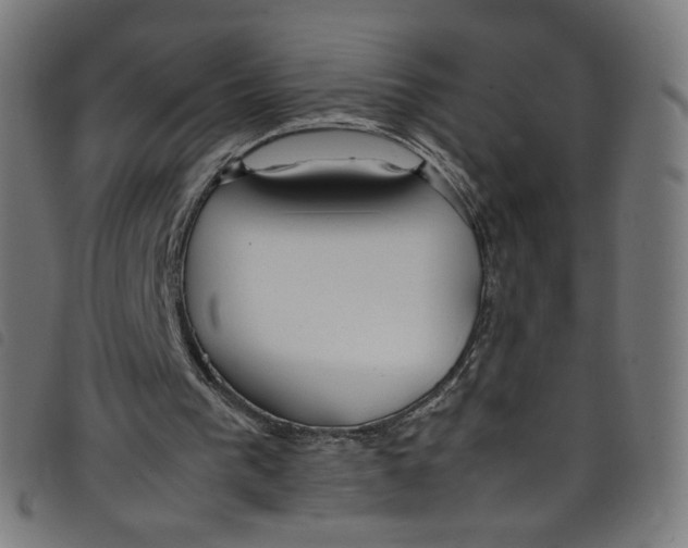 X0000098120193200804251459