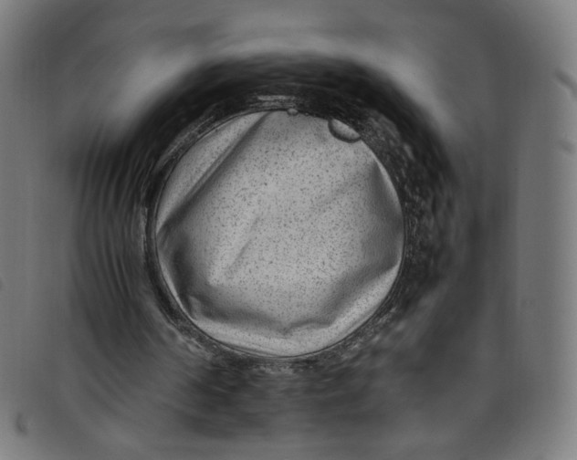 X0000098120194200804251459
