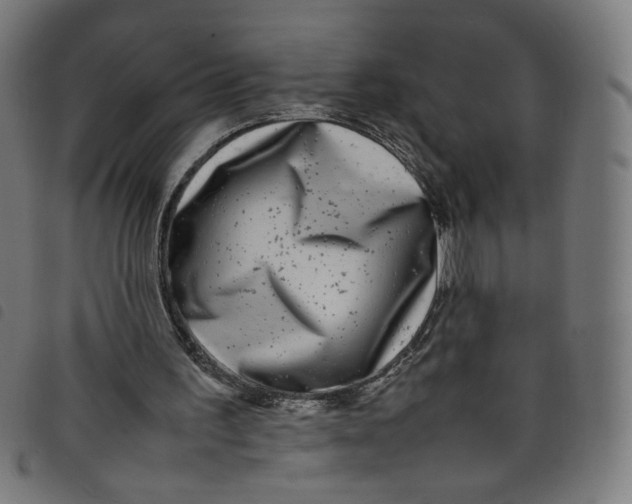 X0000098120195200804251459