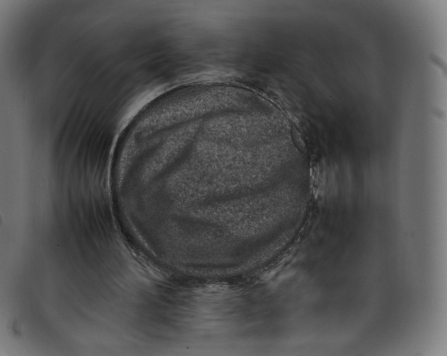 X0000098120196200804251459