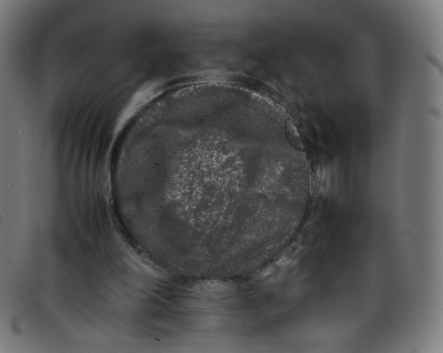 X0000098120198200804251459