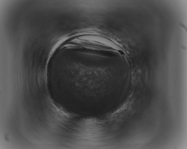 X0000098120200200804251459