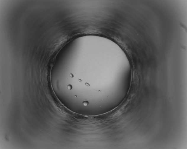 X0000098120201200804251459