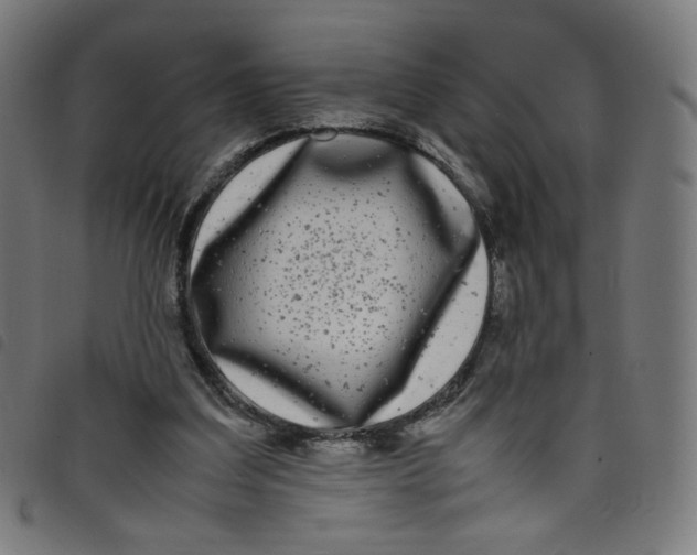 X0000098120203200804251459