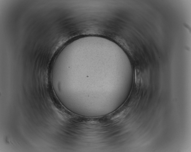 X0000098120204200804251459