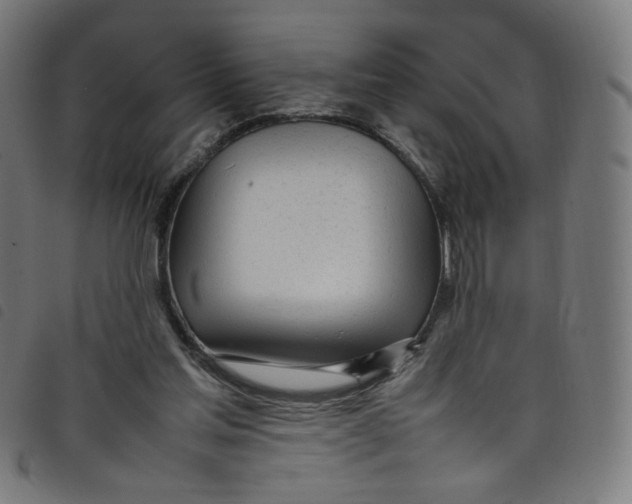 X0000098120205200804251459