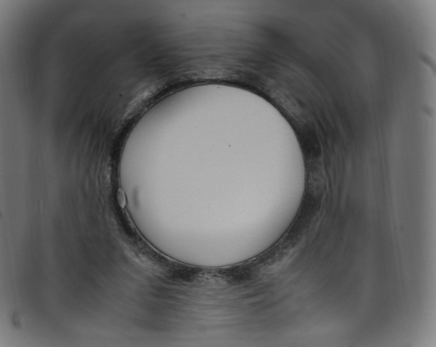X0000098120207200804251459