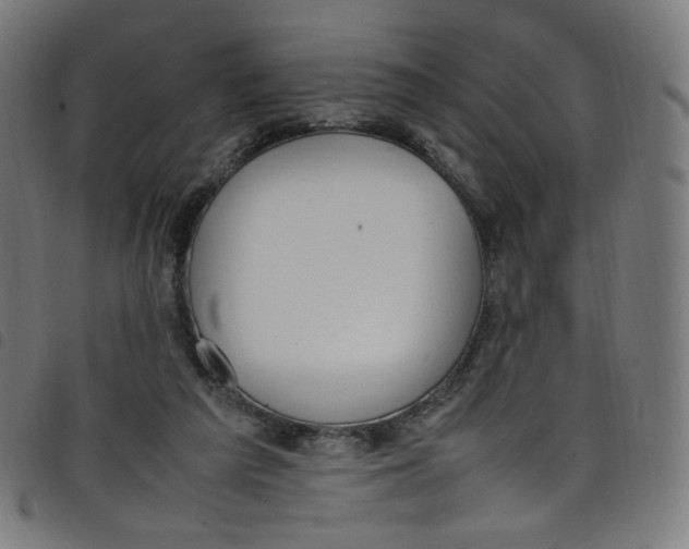 X0000098120209200804251459