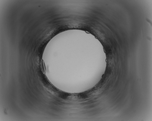 X0000098120211200804251459