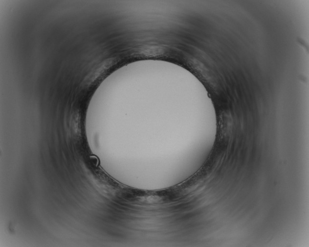X0000098120212200804251459