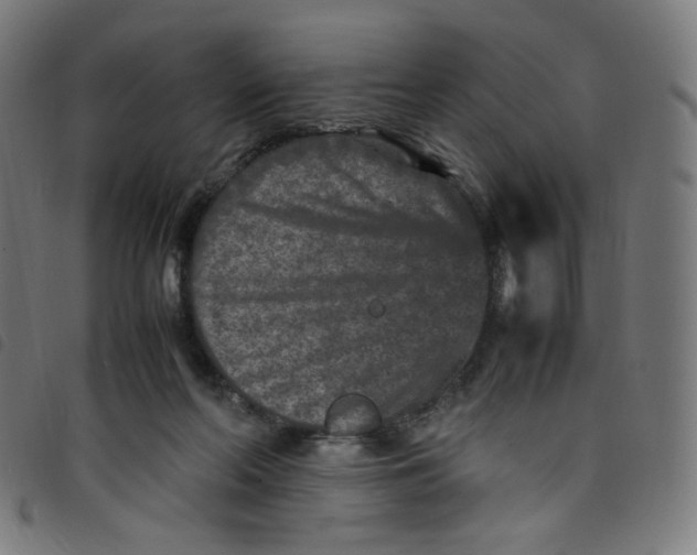 X0000098120214200804251459