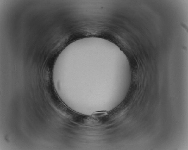 X0000098120215200804251459