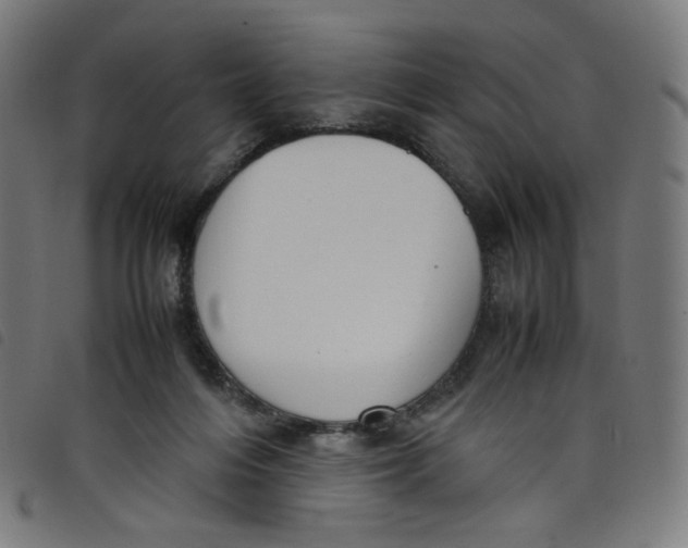 X0000098120216200804251459