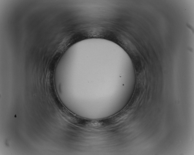 X0000098120217200804251459
