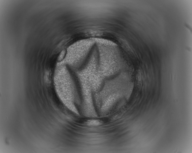 X0000098120218200804251459
