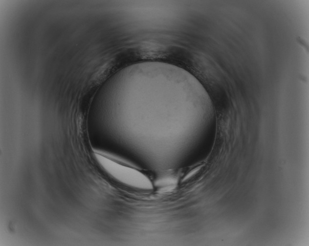 X0000098120219200804251459