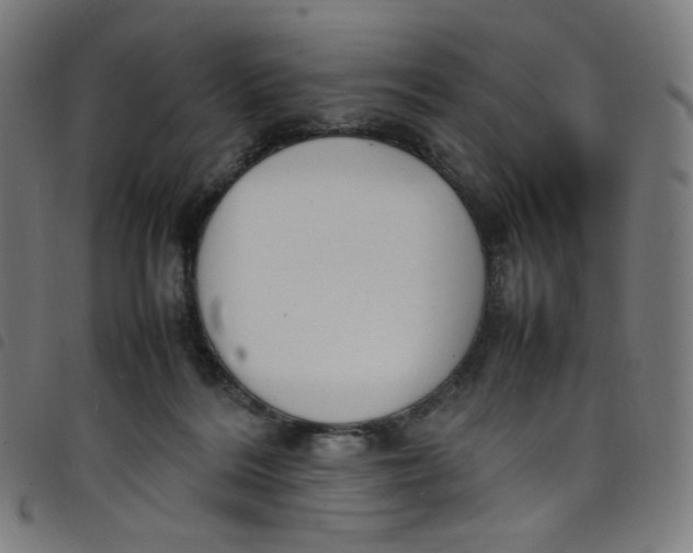 X0000098120220200804251459