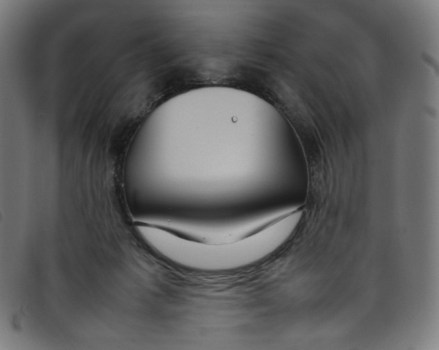 X0000098120221200804251459