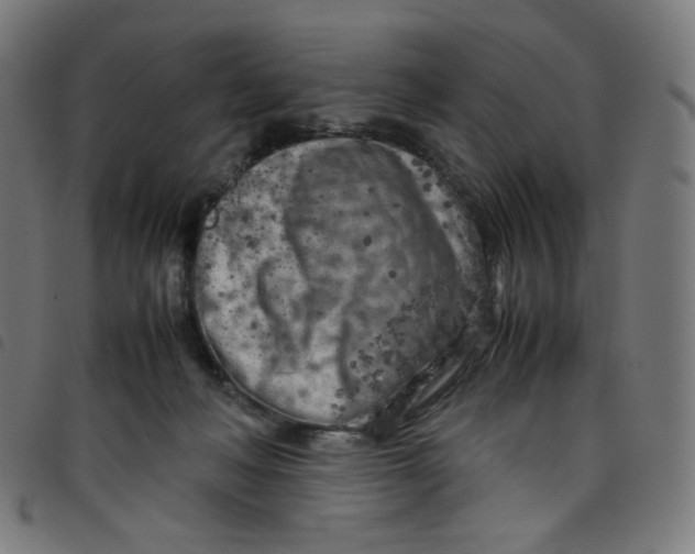 X0000098120222200804251459