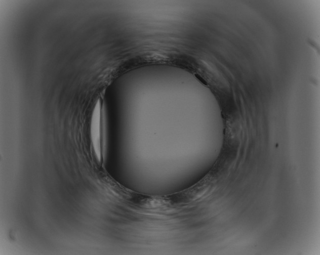 X0000098120223200804251459