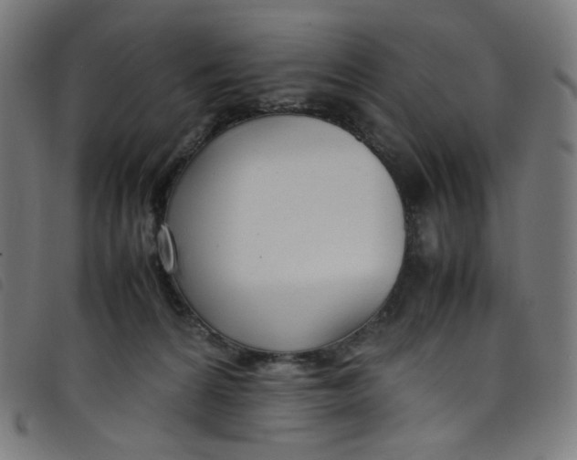 X0000098120224200804251459