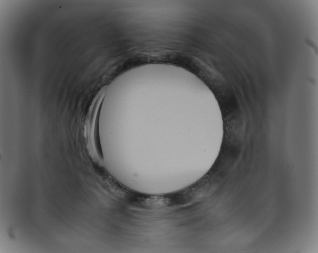 X0000098120225200804251459