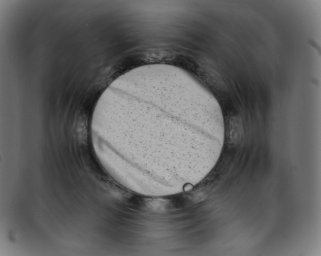 X0000098120226200804251459