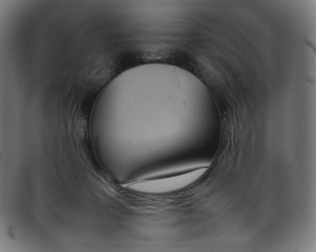 X0000098120227200804251459