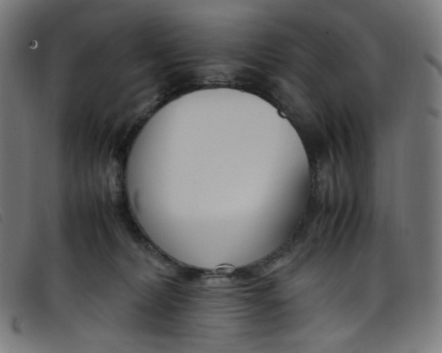 X0000098120228200804251459