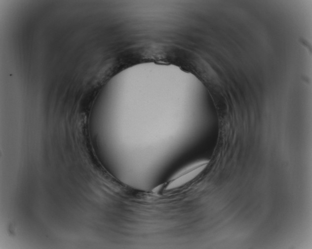 X0000098120229200804251459