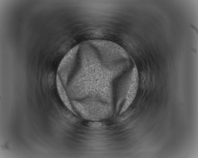 X0000098120230200804251459
