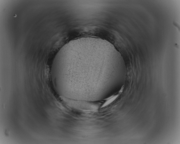 X0000098120231200804251459