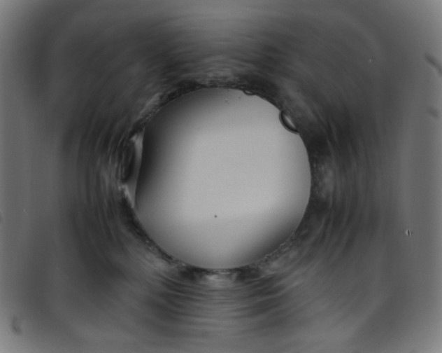 X0000098120232200804251459