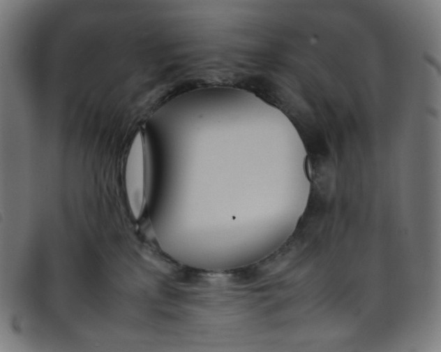 X0000098120233200804251459