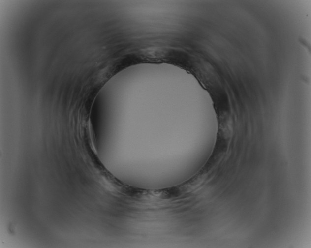 X0000098120235200804251459