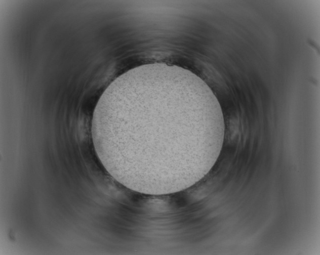 X0000098120236200804251459