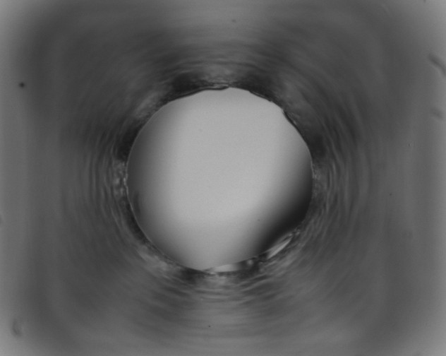 X0000098120237200804251459