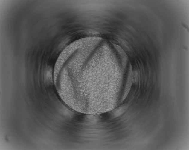 X0000098120238200804251459