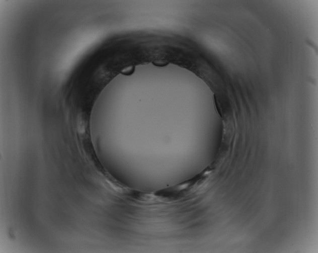 X0000098120239200804251459