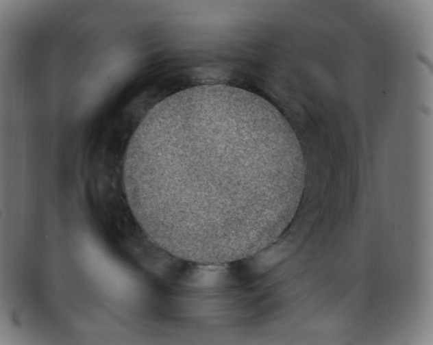 X0000098120240200804251459