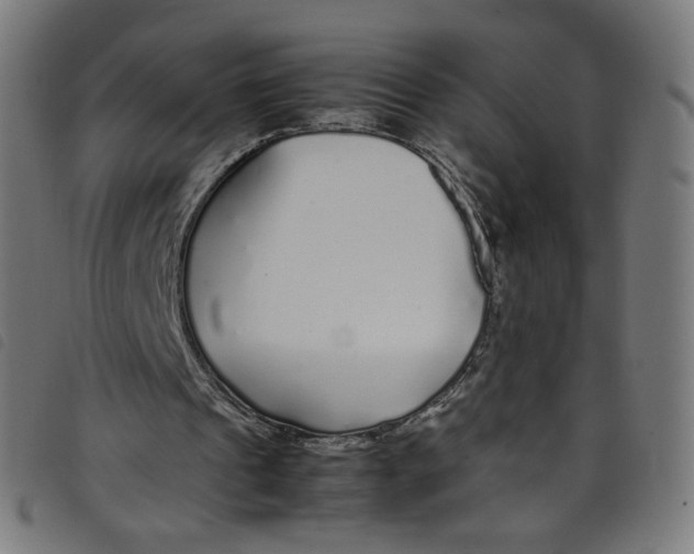 X0000098120241200804251458